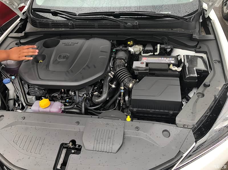 逸动2019款 蓝鲸版 280t gdi dct极速型怎么样_优缺点_asg4f7k3r_口碑