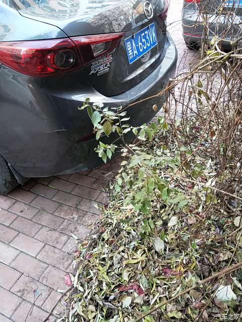 马自达3 昂克赛拉