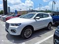 喜提新车-2020款2.0T自动铂金豪华版哈弗H6