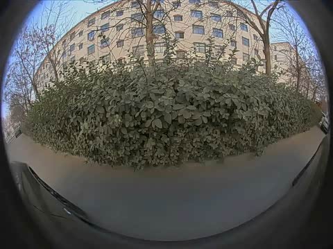Фото от владельца