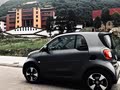 成都smart fortow1.0 激情版 小小灰
