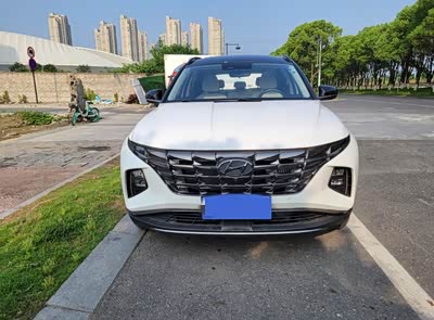 途胜2021款 途胜l 1.