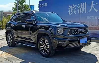 哈弗二代大狗 2023款 2.