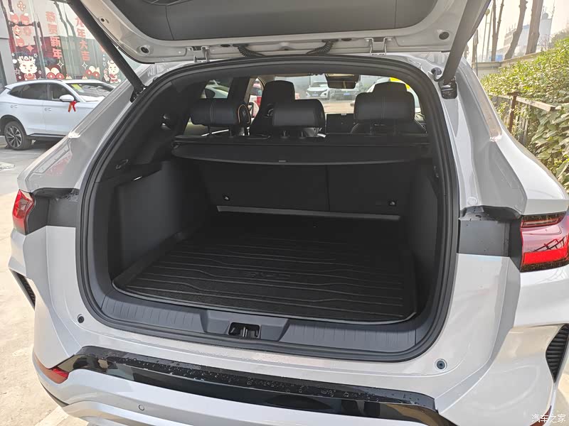 2023款冠军版dmi110km旗舰plus