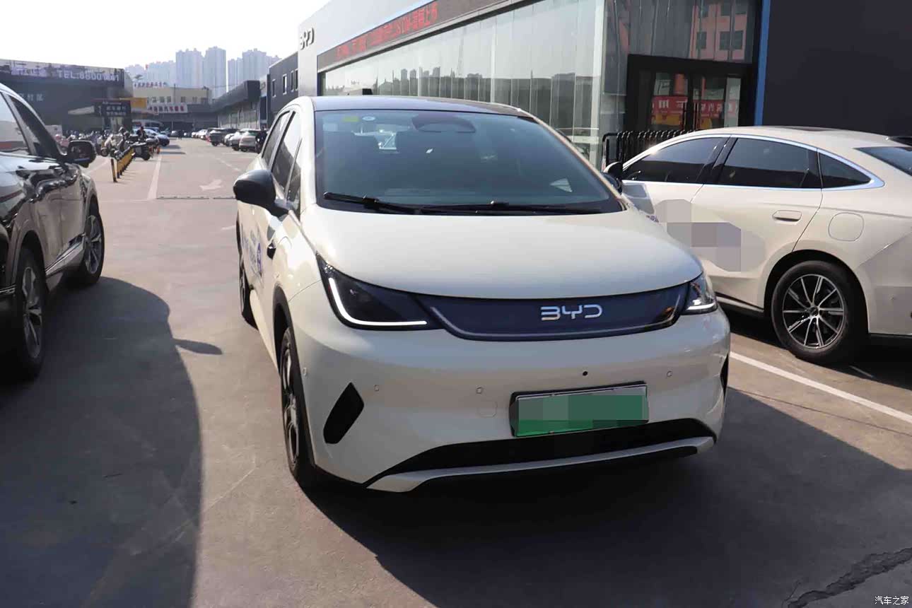 海豚2025款 智驾版 410km 时尚版怎么样