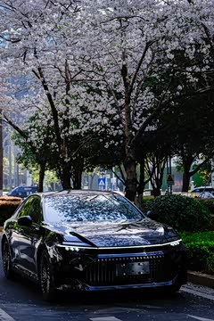 Фото от владельца