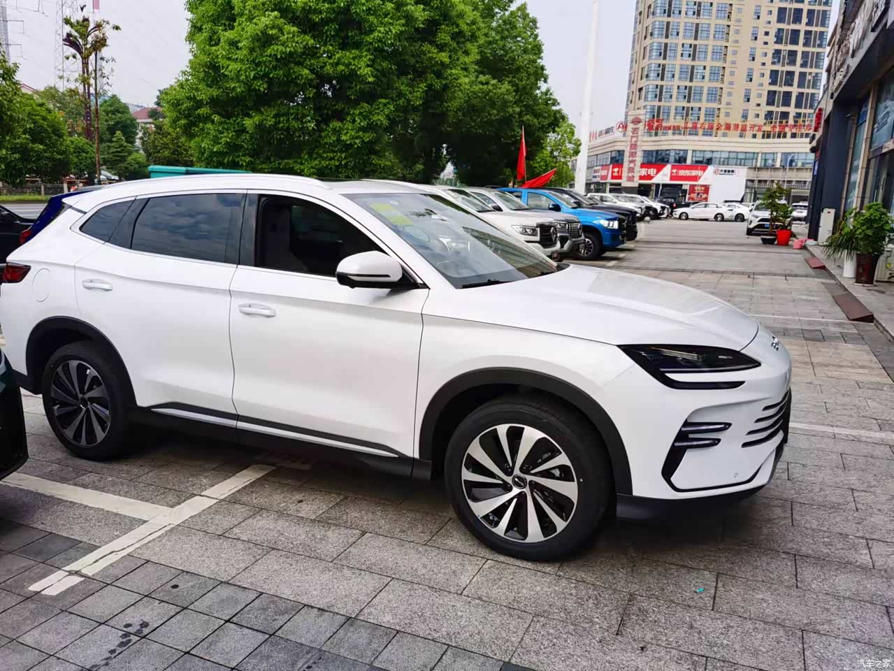 一身帅气的宋小白——经济适用型王者新体验