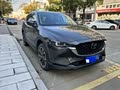 CX-5，我的忠实驾驶伙伴