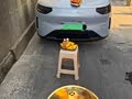 零跑A10配置堆得很足！！！