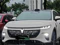 肇庆提车半年，一万一千公里岚图知音长评