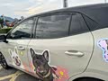 猪崽专用车