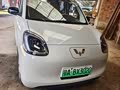实用的四门miniev